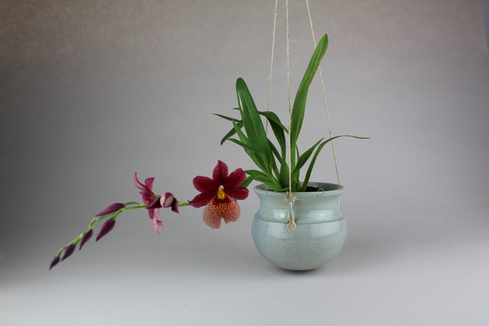 Hanging Orchid Planter