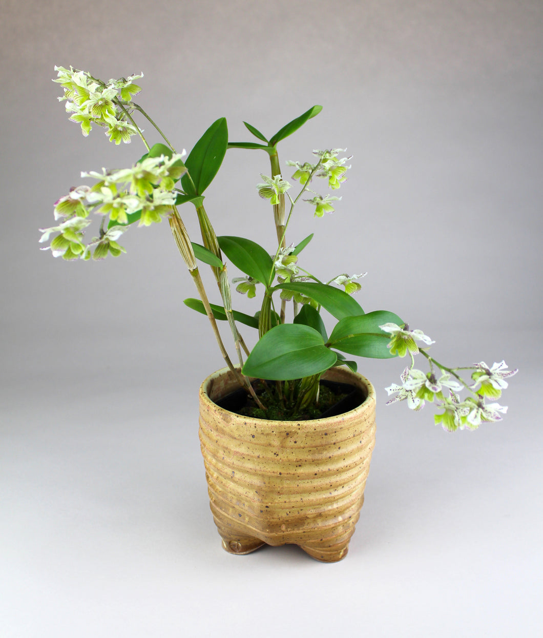 Footed planter